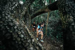 BIB: 
                            <button type="button" onclick="openModal(25391987)" class="btn btn-primary btn-sm float-right btn-popup" data-toggle="modal" data-target=".modal-high-quality">
                        <i class="fas fa-shopping-cart"></i> Add to Cart
                    </button>
                                            <button type="button" onclick="isThisMe(25391987, true)" class="btn btn-success btn-sm float-right btn-popup btn-isme hidden" data-toggle="tooltip" data-placement="bottom" title="นี่คือรูปของคุณใช่ไหม คลิกที่นี่เพื่อเอาเข้าอัลบั้ม">
                        <i class="fas fa-plus"></i> Add to album
                    </button>
                    <button type="button" onclick="isThisMe(25391987, false)" class="btn btn-warning btn-sm float-right btn-popup btn-isnotme hidden">
                        <i class="fas fa-ban"></i> Remove from album
                    </button>